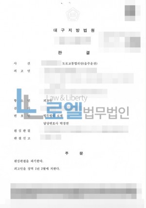 판결문 이미지